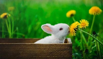 爱游戏电竞-体育新闻中心推动体育赛事数据加密与安全技术研发，体育数据新闻案例